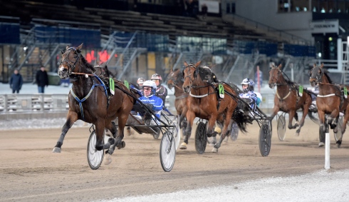 Dallas vinner på Solvalla igen. Foto av Lars Jakobsson TR Bild